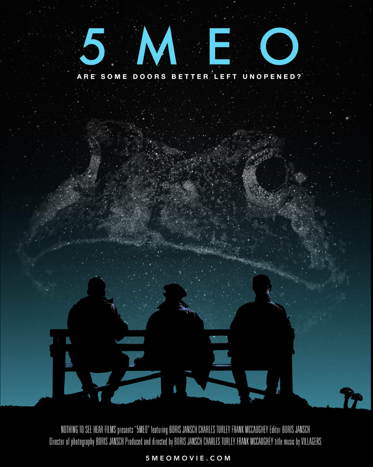 5-MeO-DMT: Some Doors Are Better Left Unopened?